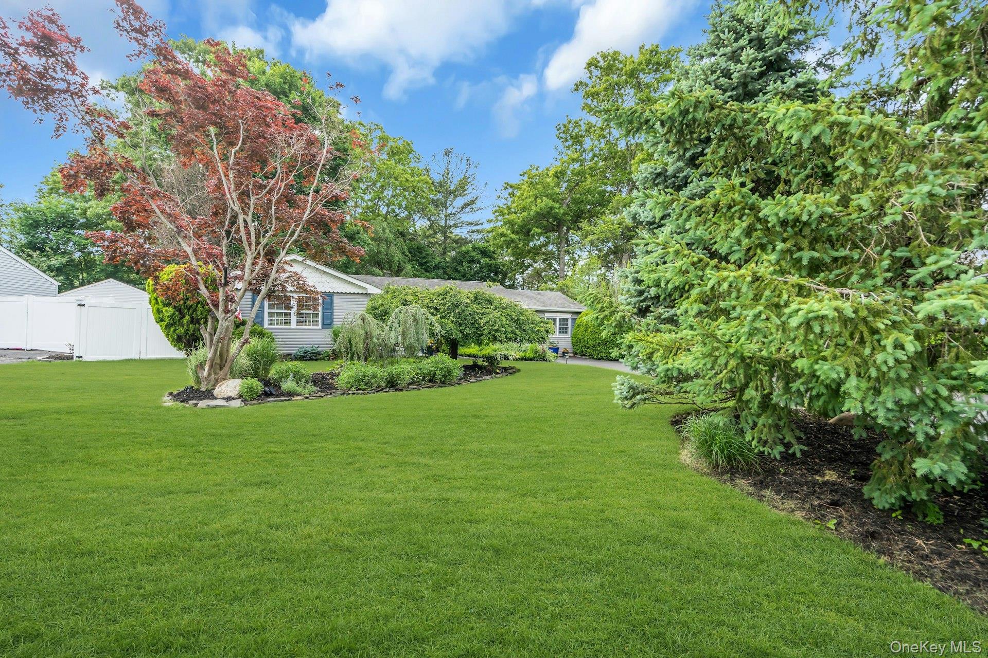 71 Ridge Haven Drive Ridge, NY 11961 - Photo 3 of 23 Front Side Yard With Lush Landscaping