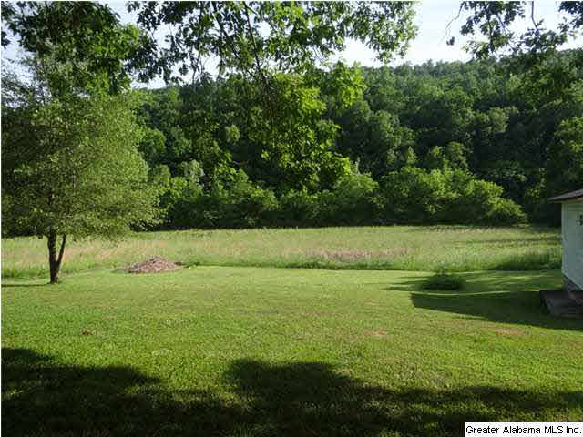 4150 Highway 174 Springville, AL 35146 - Photo 9 of 29