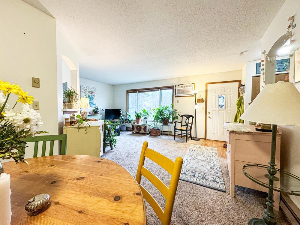 710 West Village Road, Unit 104 Chanhassen, MN 55317 - Photo 6 of 10