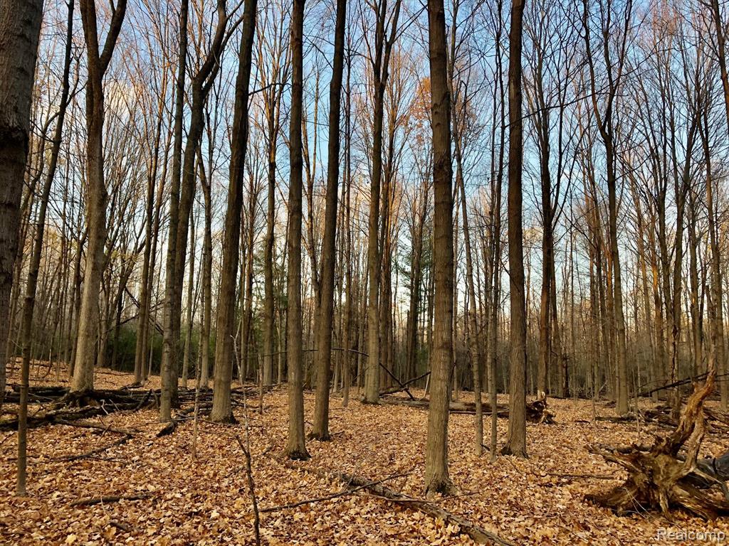 0 East Brocker Road Metamora, MI 48455 - Photo 17 of 25