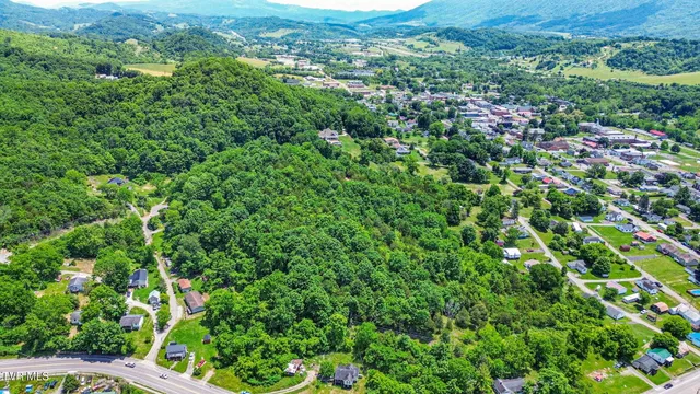 $89,900 | Tbd Richardson Street, Lebanon, VA 24266