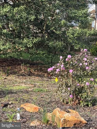 a bunch of flowers and flowers