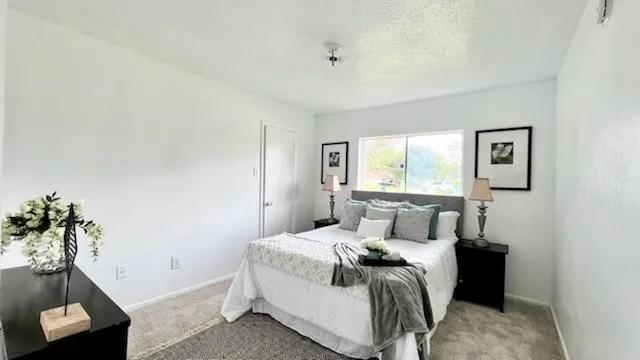 a bedroom with a bed and a window