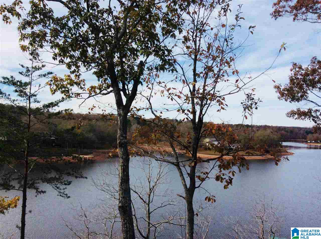 1-1 Acre Pleasure Point Road, Unit 3 Wedowee, AL 36278 - Photo 1 of 5