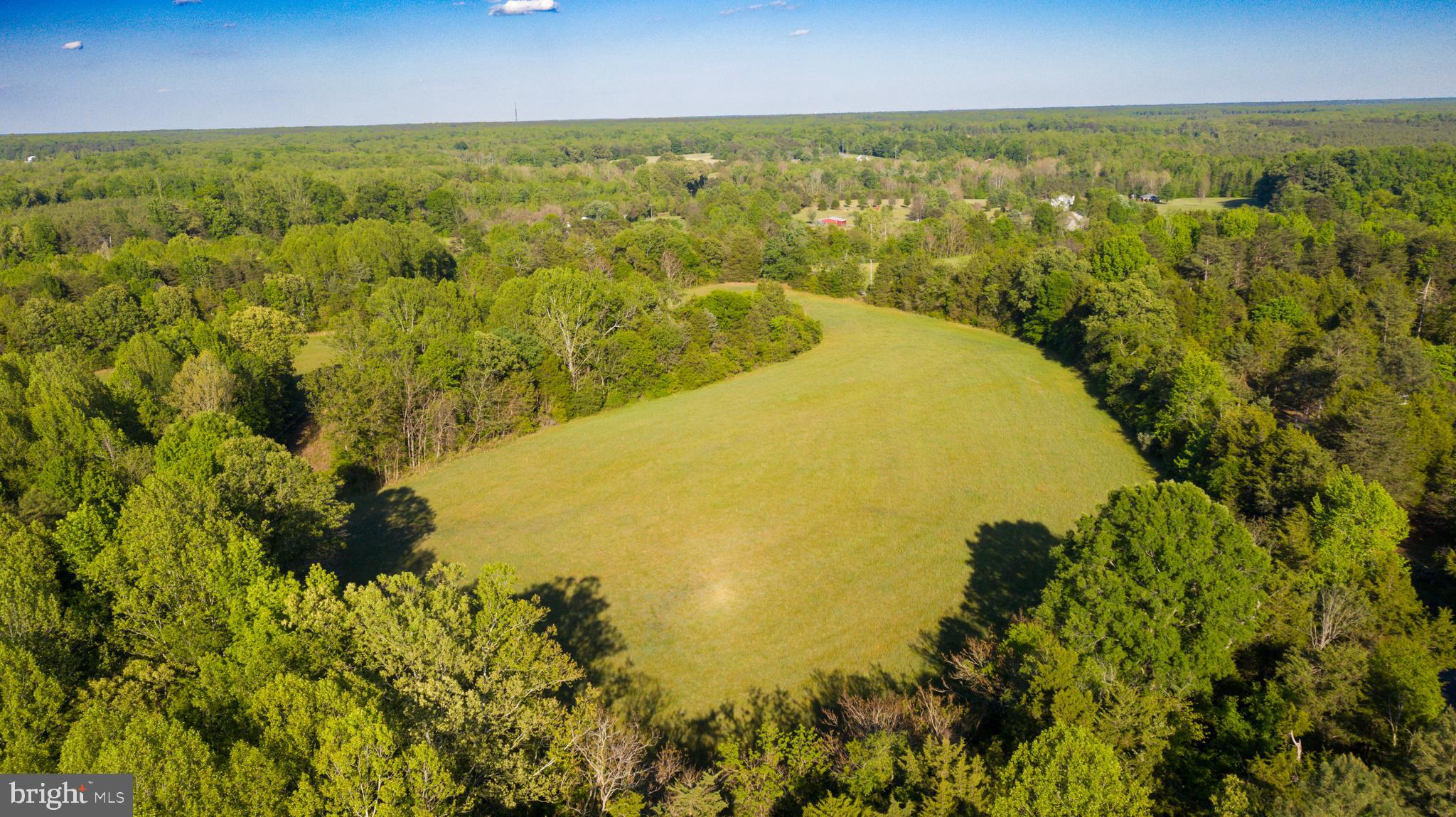0 Trivette Road Beaverdam, VA 23015 - Photo 27 of 45