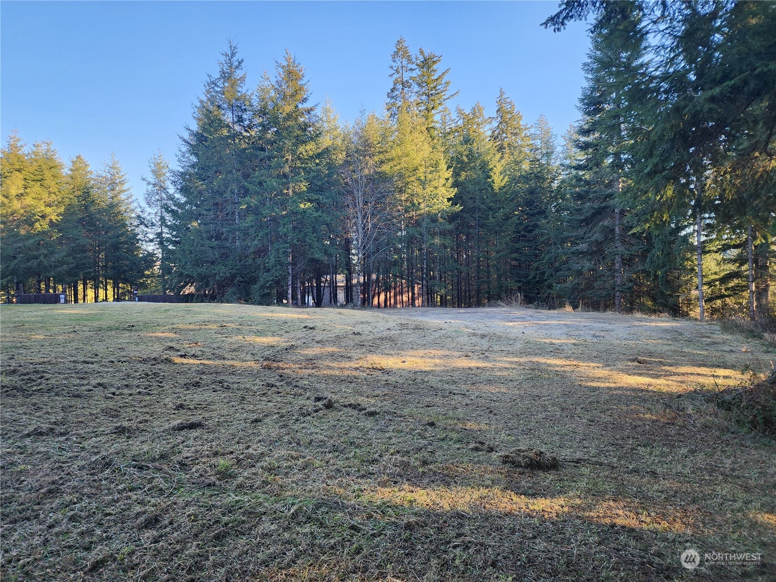 173 Jim's View Road Silverlake, WA 98645 - Photo 3 of 22 Gallery Image 3