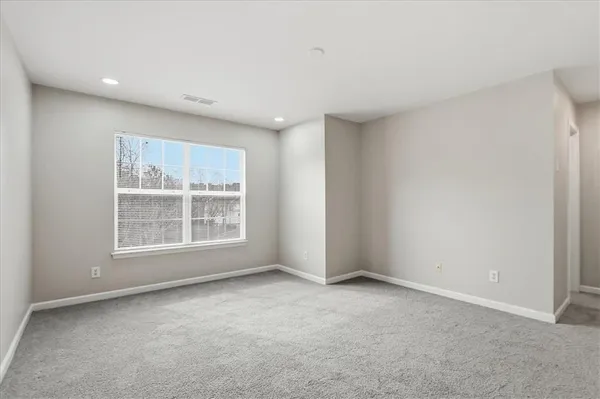 a view of a yard with plants and trees