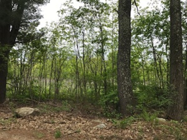 Lot 5 Walnut Street Rutland, MA 01543 - Photo 1 of 1