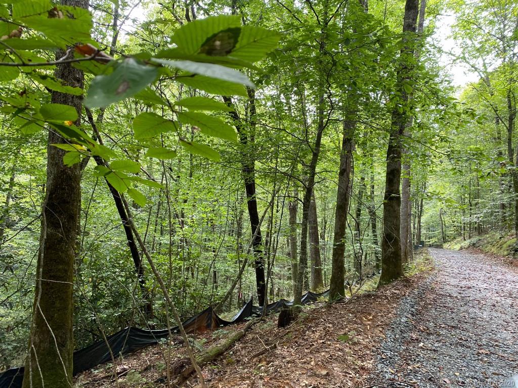 Tbd East Fork Road Brevard, NC 28712 - Photo 2 of 34 Gallery Image 2