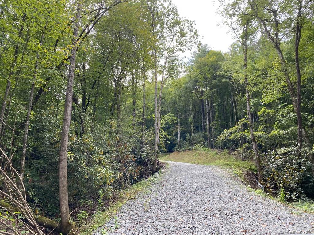 Tbd East Fork Road Brevard, NC 28712 - Photo 11 of 34 Gallery Image 11