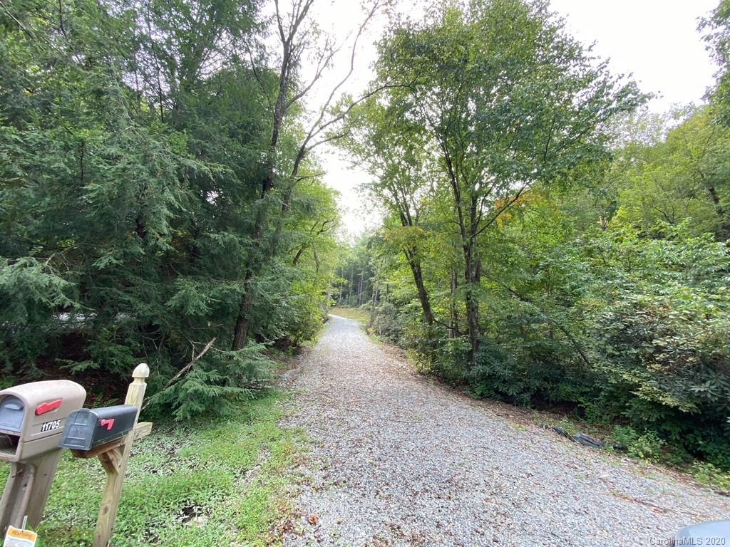 Tbd East Fork Road Brevard, NC 28712 - Photo 12 of 34 Gallery Image 12