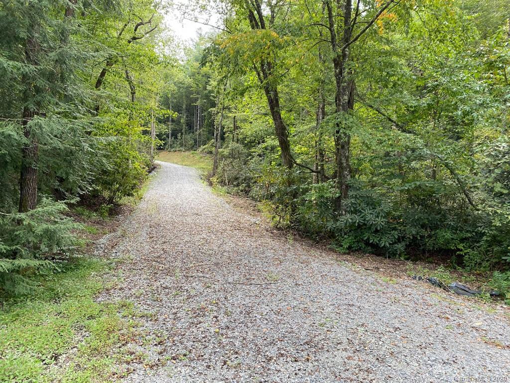 Tbd East Fork Road Brevard, NC 28712 - Photo 13 of 34 Gallery Image 13