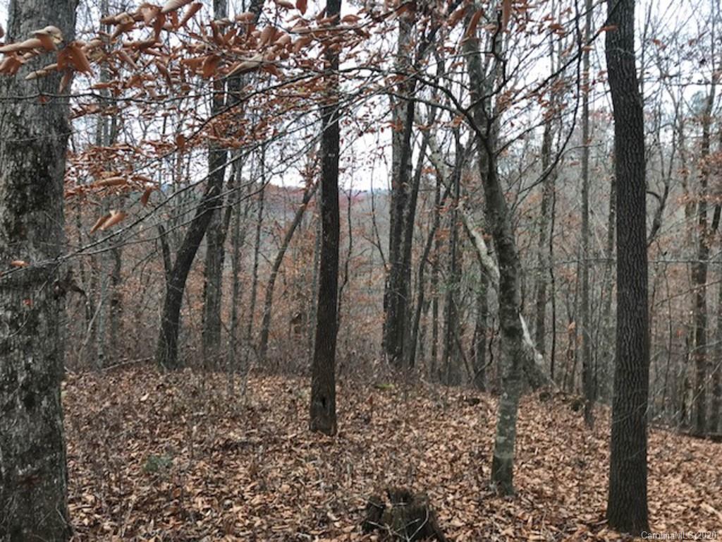 Tbd East Fork Road Brevard, NC 28712 - Photo 15 of 34 Gallery Image 15