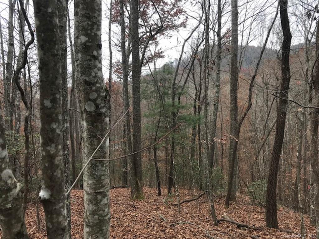 Tbd East Fork Road Brevard, NC 28712 - Photo 16 of 34 Gallery Image 16