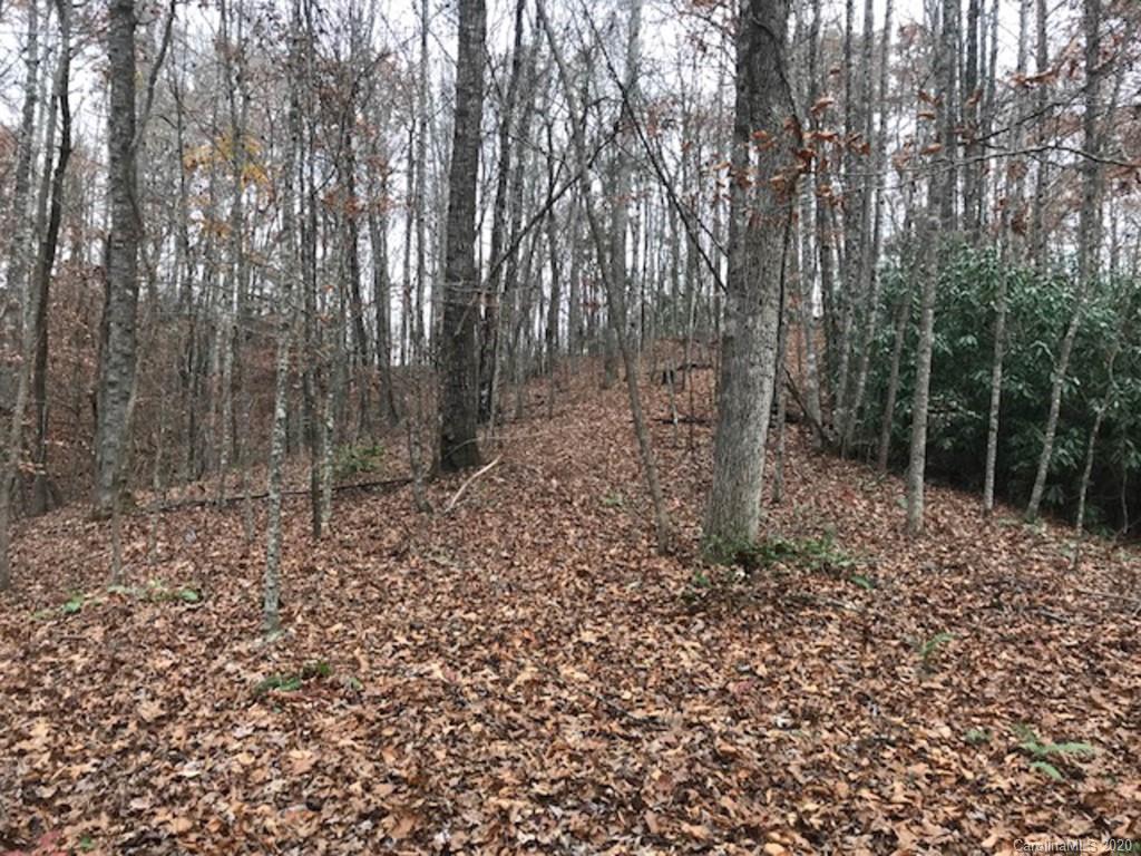 Tbd East Fork Road Brevard, NC 28712 - Photo 17 of 34 Gallery Image 17