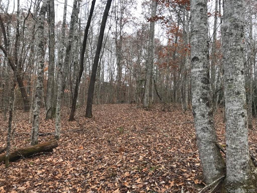 Tbd East Fork Road Brevard, NC 28712 - Photo 18 of 34 Gallery Image 18