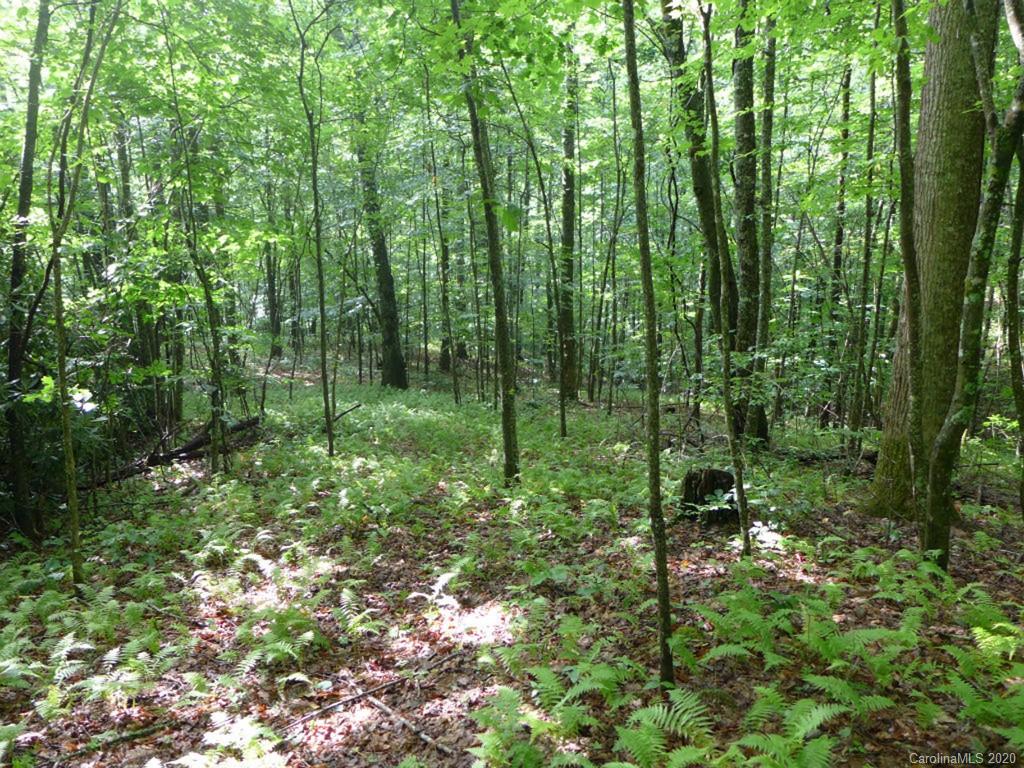 Tbd East Fork Road Brevard, NC 28712 - Photo 20 of 34 Gallery Image 20