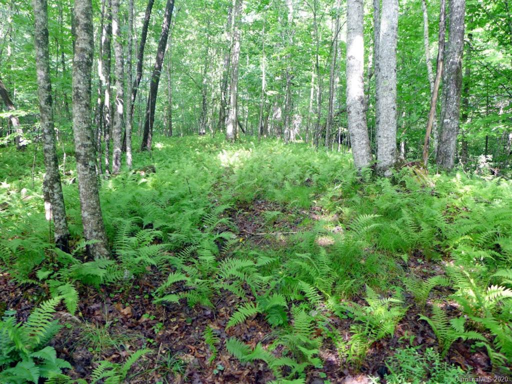 Tbd East Fork Road Brevard, NC 28712 - Photo 3 of 34 Gallery Image 3