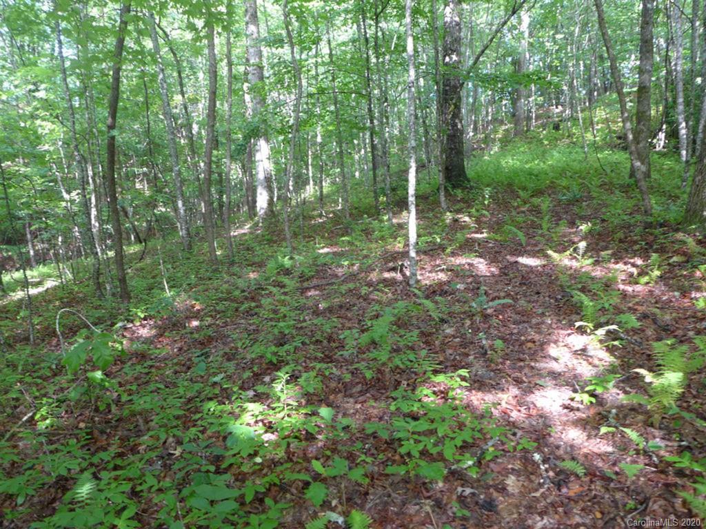 Tbd East Fork Road Brevard, NC 28712 - Photo 21 of 34 Gallery Image 21