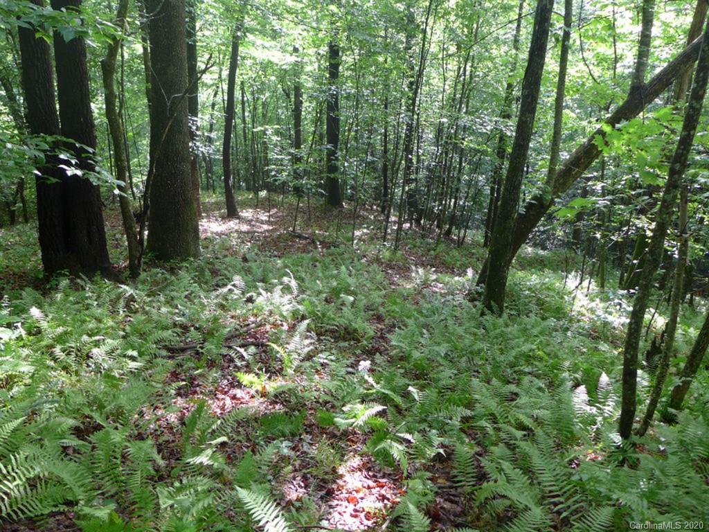 Tbd East Fork Road Brevard, NC 28712 - Photo 22 of 34 Gallery Image 22