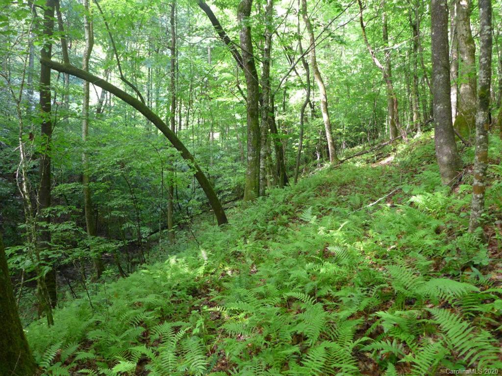 Tbd East Fork Road Brevard, NC 28712 - Photo 23 of 34 Gallery Image 23