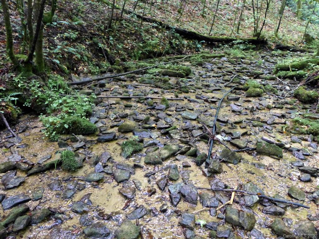 Tbd East Fork Road Brevard, NC 28712 - Photo 24 of 34 Gallery Image 24