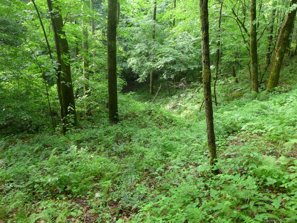 Tbd East Fork Road Brevard, NC 28712 - Photo 25 of 34 Gallery Image 25
