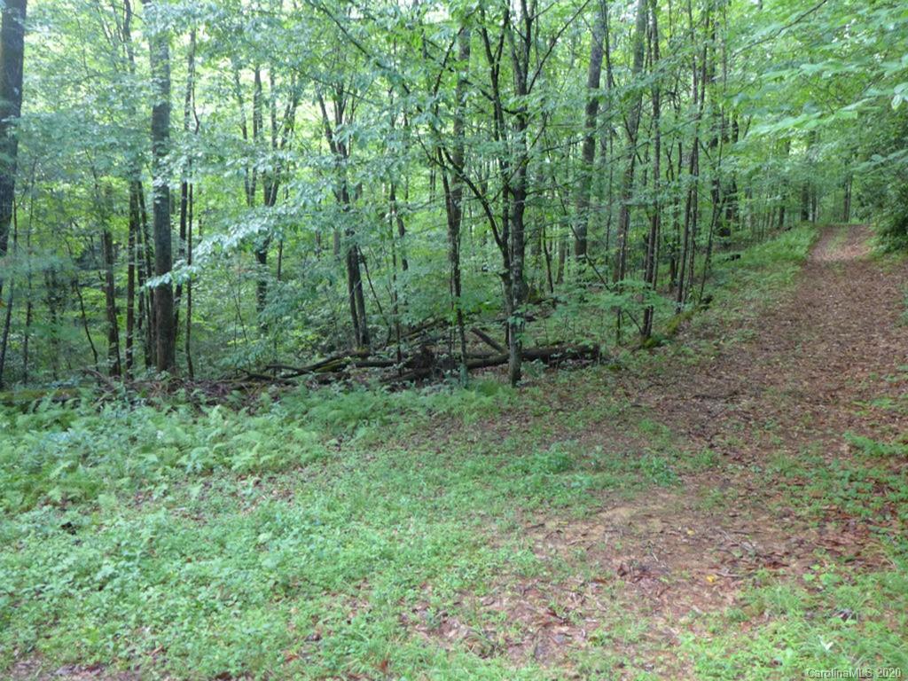 Tbd East Fork Road Brevard, NC 28712 - Photo 26 of 34 Gallery Image 26