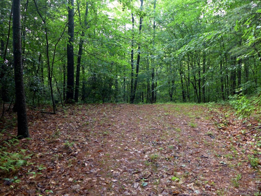 Tbd East Fork Road Brevard, NC 28712 - Photo 27 of 34 Gallery Image 27