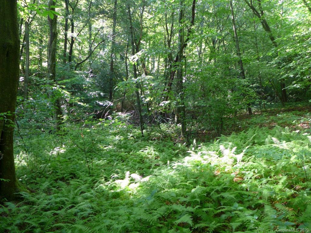 Tbd East Fork Road Brevard, NC 28712 - Photo 30 of 34 Gallery Image 30