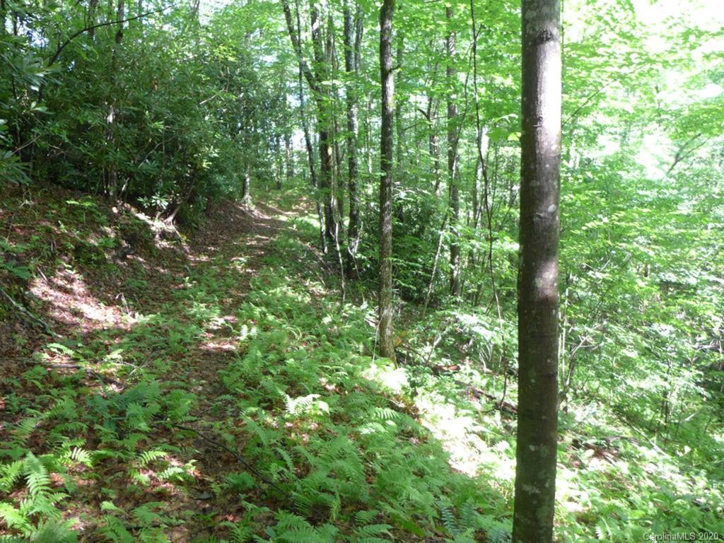 Tbd East Fork Road Brevard, NC 28712 - Photo 31 of 34 Gallery Image 31