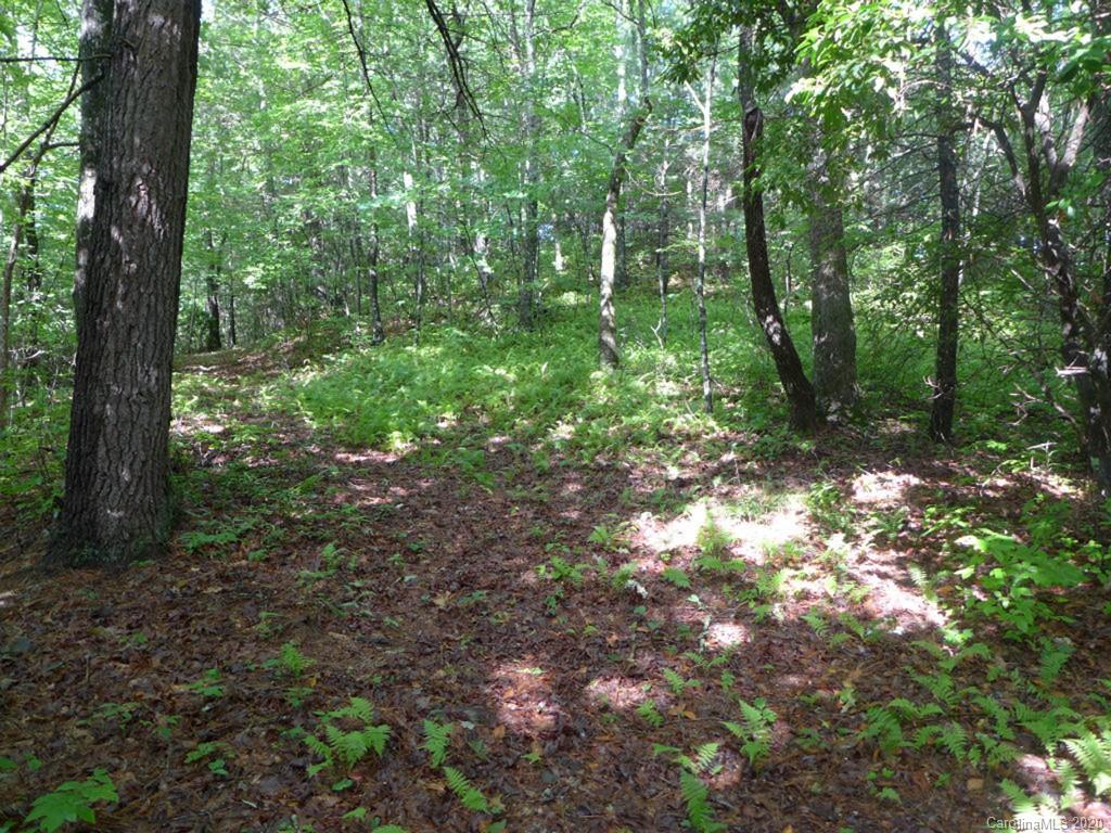 Tbd East Fork Road Brevard, NC 28712 - Photo 33 of 34 Gallery Image 33