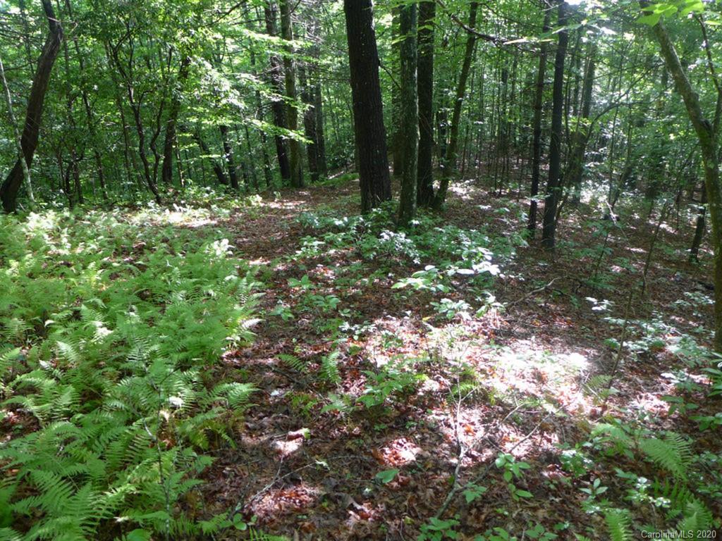 Tbd East Fork Road Brevard, NC 28712 - Photo 34 of 34 Gallery Image 34