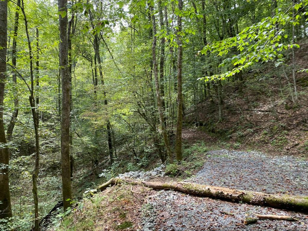 Tbd East Fork Road Brevard, NC 28712 - Photo 5 of 34 Gallery Image 5