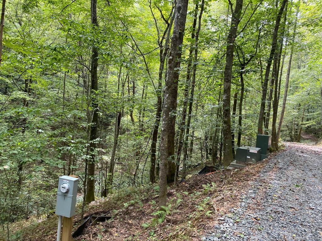 Tbd East Fork Road Brevard, NC 28712 - Photo 6 of 34 Gallery Image 6