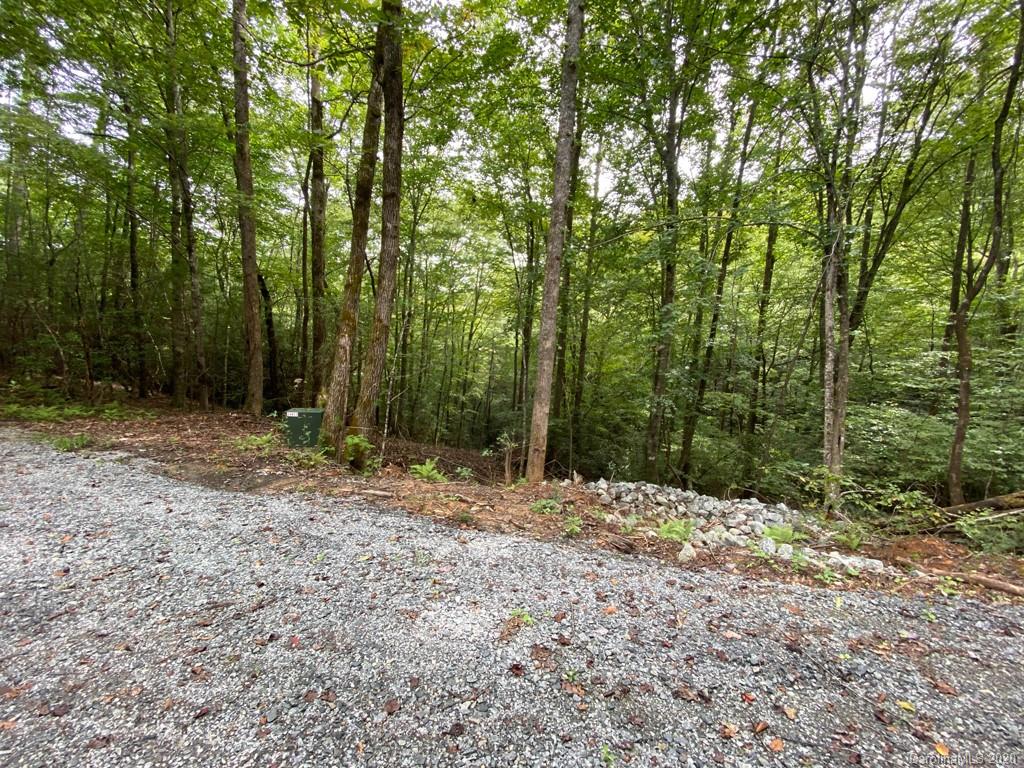 Tbd East Fork Road Brevard, NC 28712 - Photo 8 of 34 Gallery Image 8