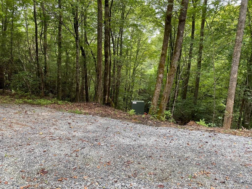 Tbd East Fork Road Brevard, NC 28712 - Photo 9 of 34 Gallery Image 9