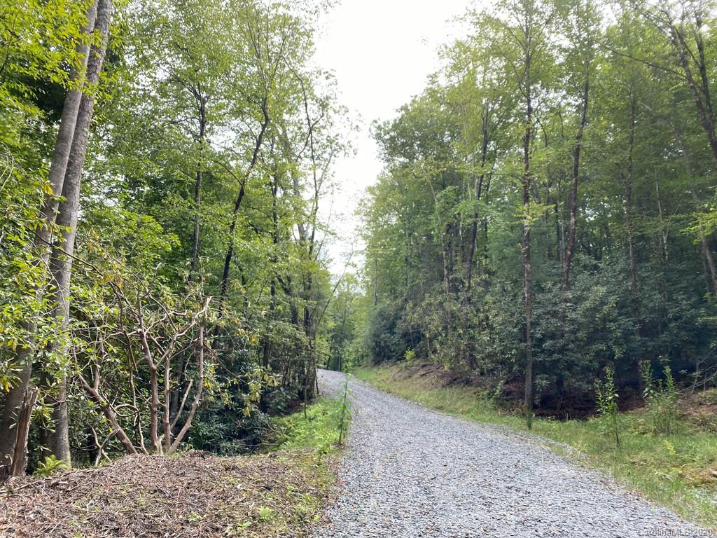 Tbd East Fork Road Brevard, NC 28712 - Photo 10 of 34 Gallery Image 10