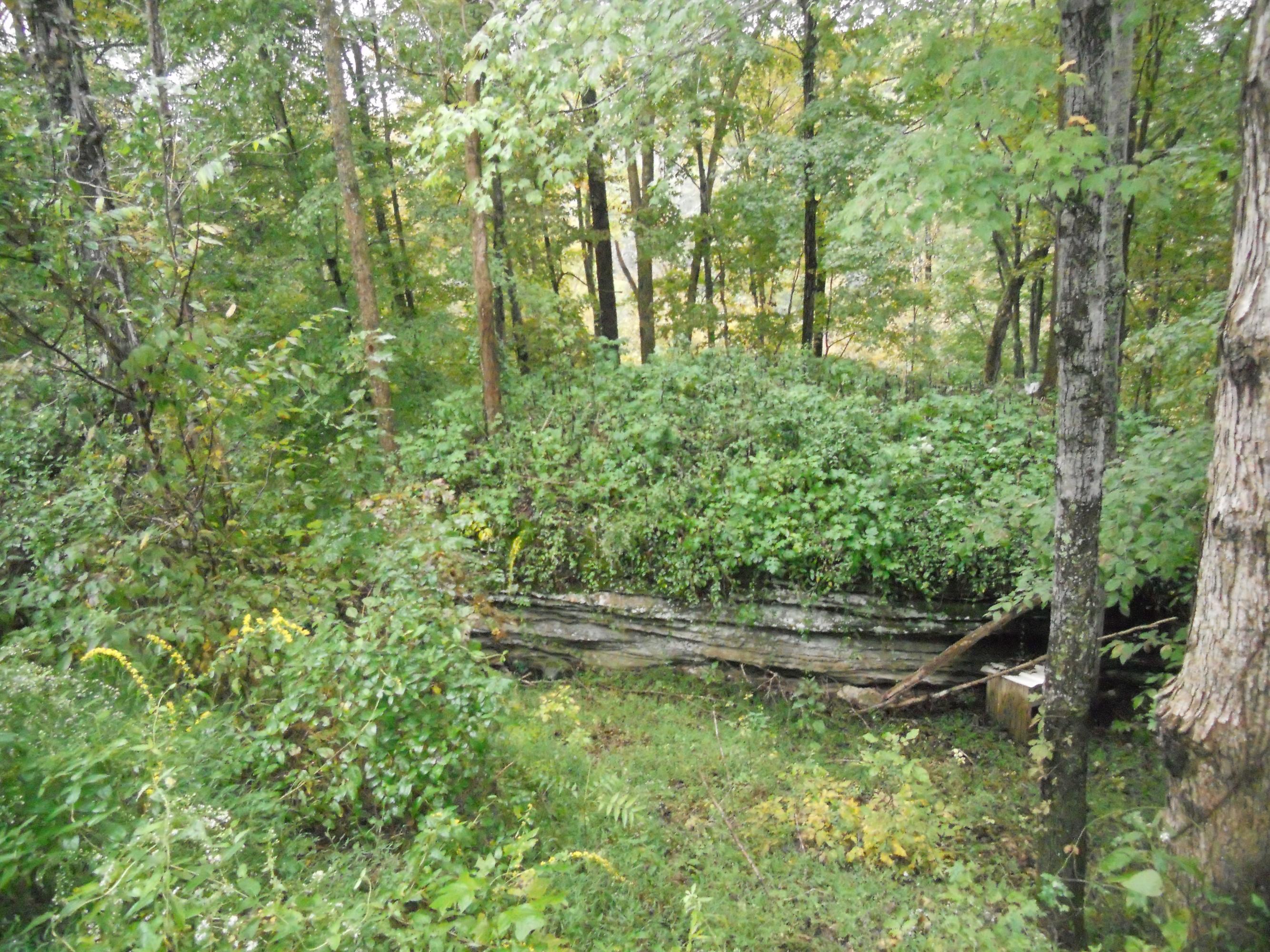 2504 Riverton Road Jamestown, TN 38556 - Photo 10 of 11 DSCN3301