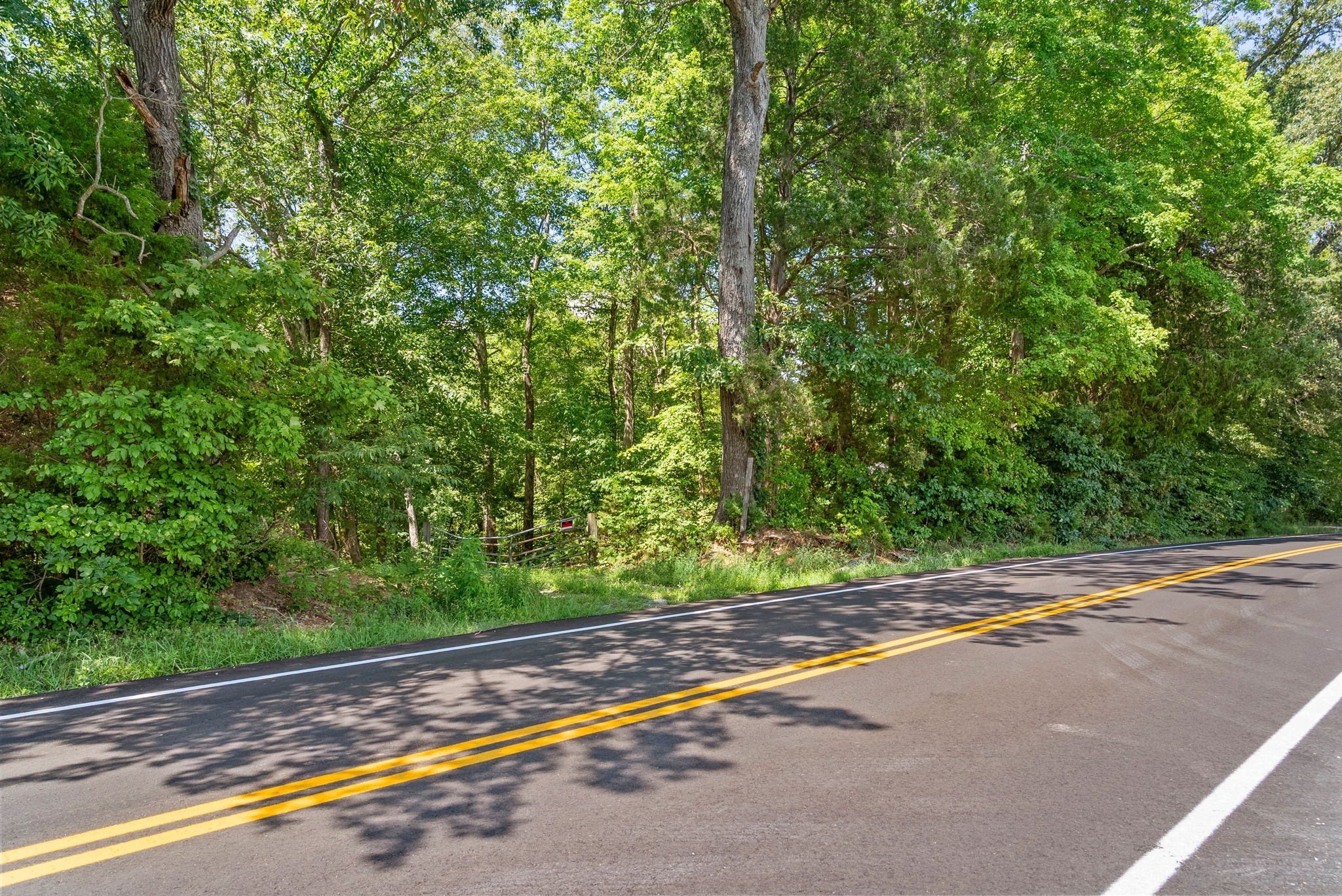 a view of a yard with a street