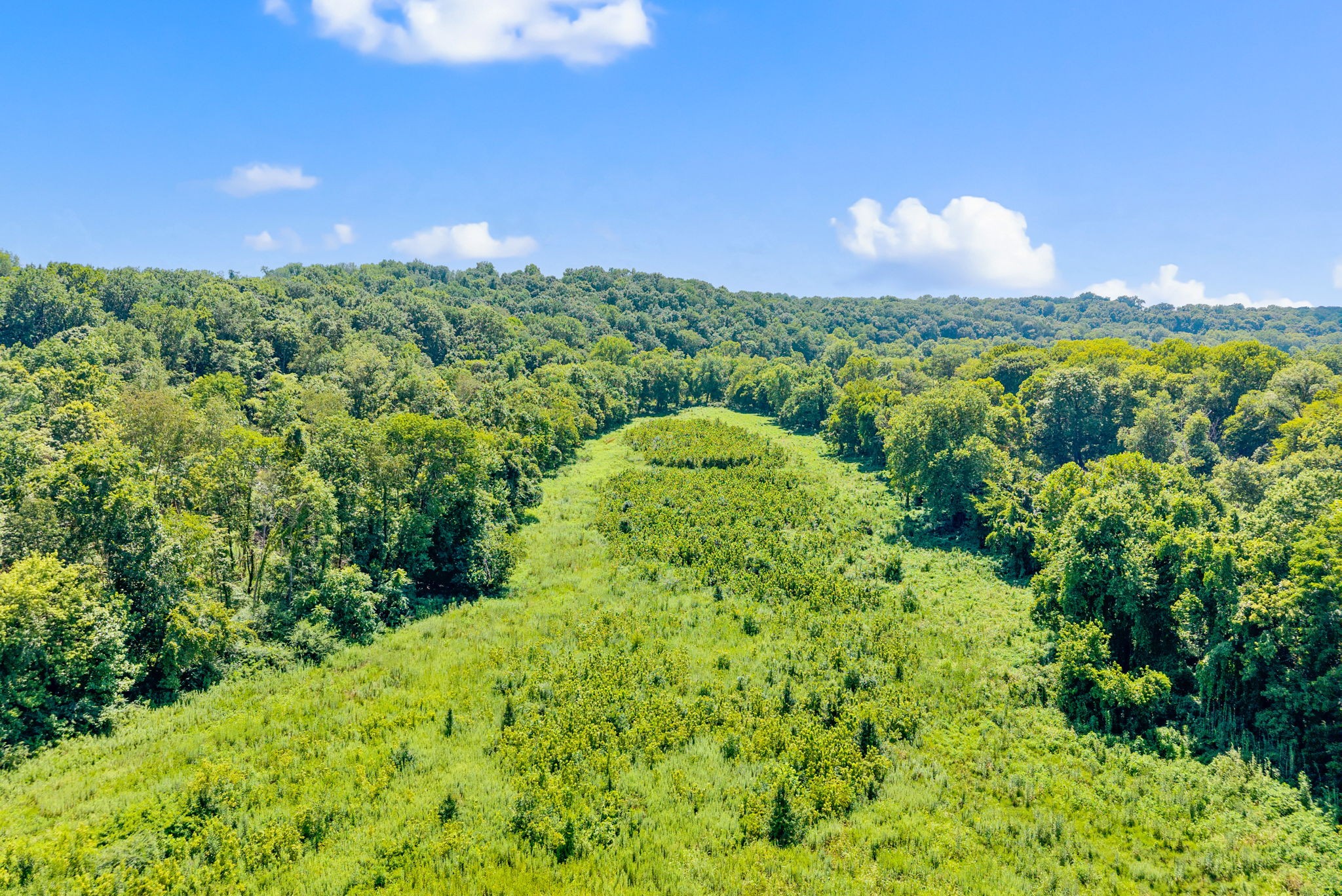 0 Old Clks Sprgfield Road Adams, TN 37010 - Photo 27 of 33 a view of a garden