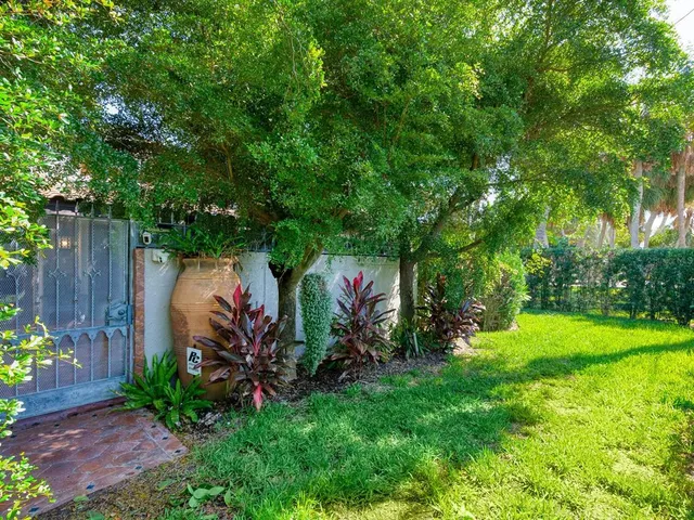 a view of a backyard