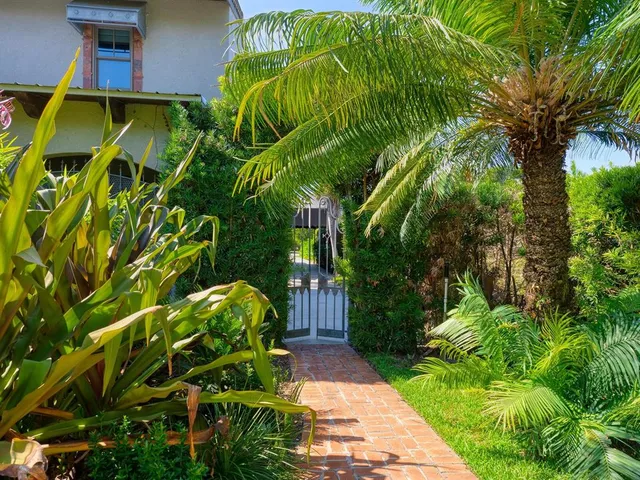 a view of a backyard with plants and a patio
