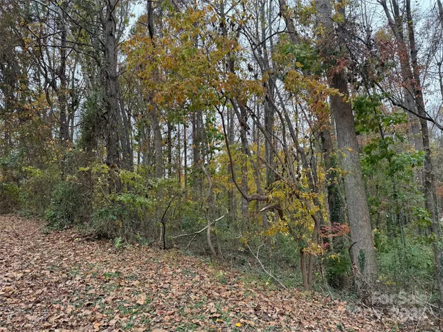 a backyard of a house with lots of plants and large trees