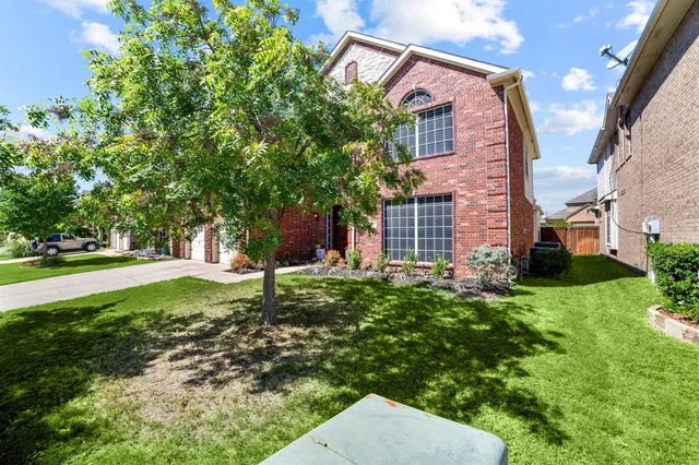 a backyard of a house with plants and large tree