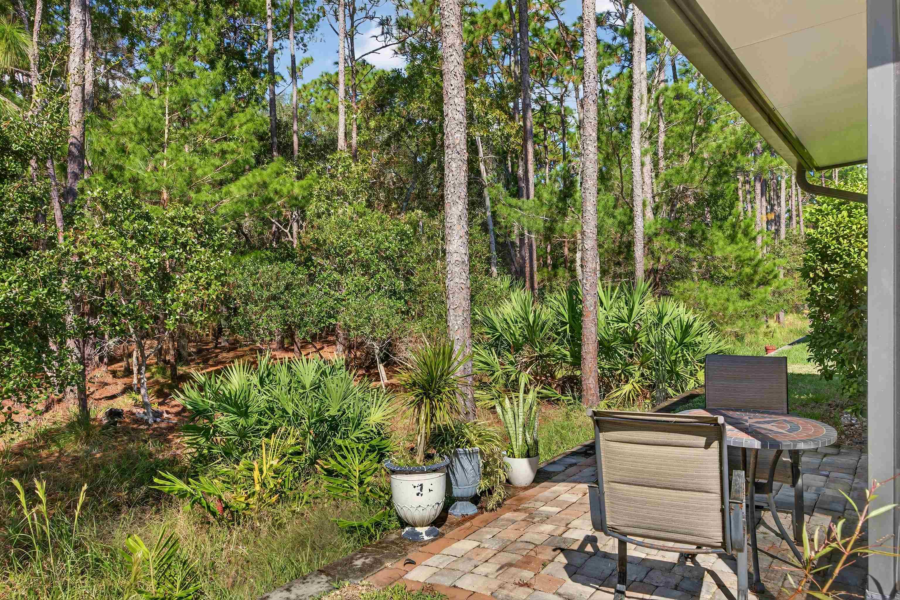 415 Balearics Drive St. Augustine, FL 32086 - Photo 28 of 30 a view of a yard with plants