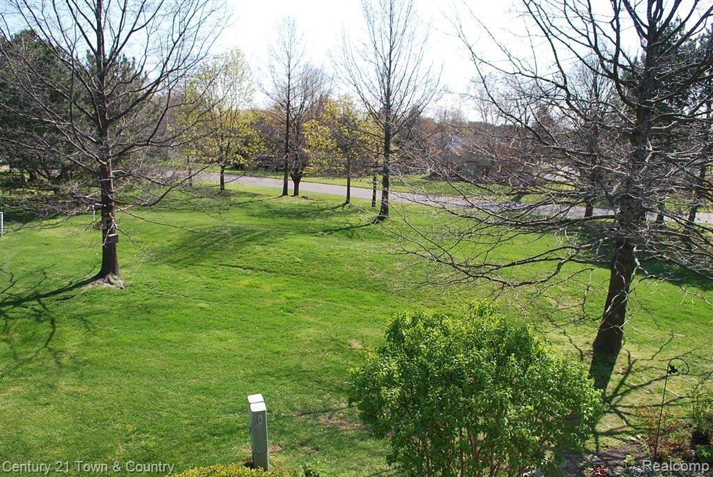 567 Victoria Court Rochester, MI 48307 - Photo 3 of 20 Yard from Back Deck