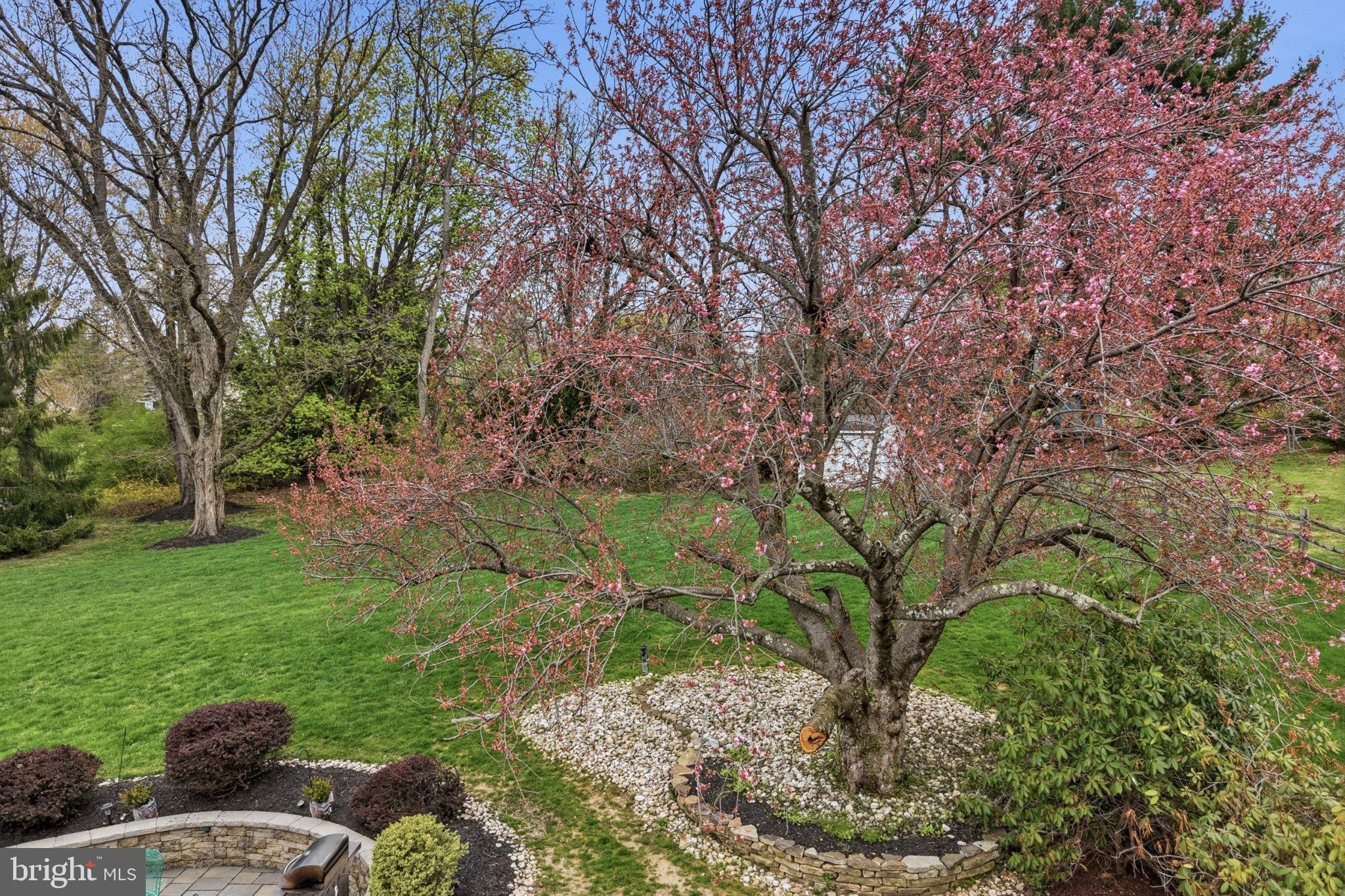 1624 Dillon Road Ambler, PA 19002 - Photo 34 of 47 a view of a garden with a tree