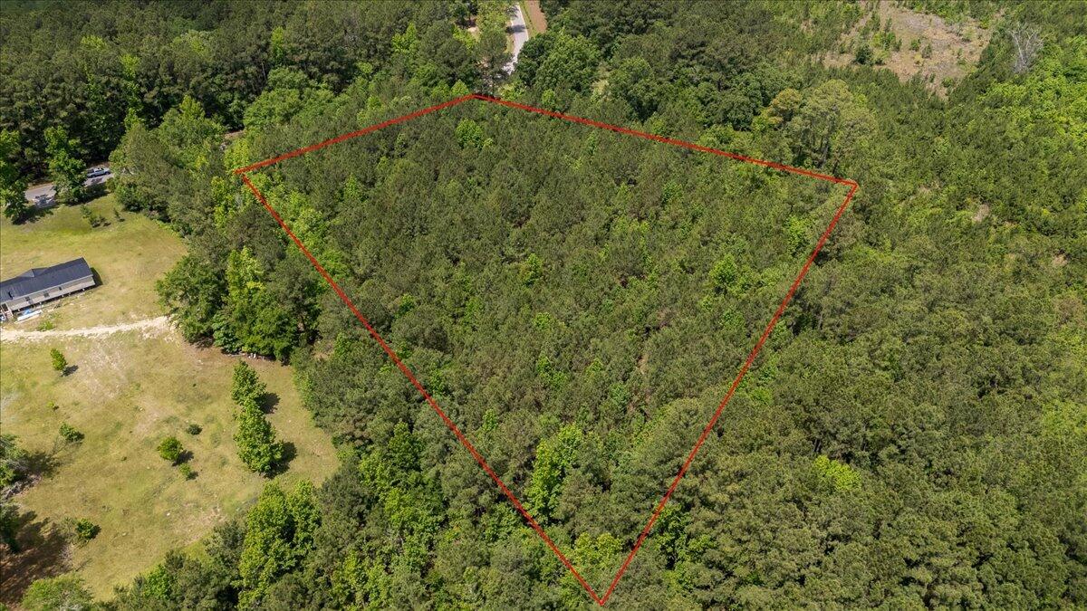 0 Deneaux Road Rowesville, SC 29133 - Photo 36 of 43 36-Deneaux-27a