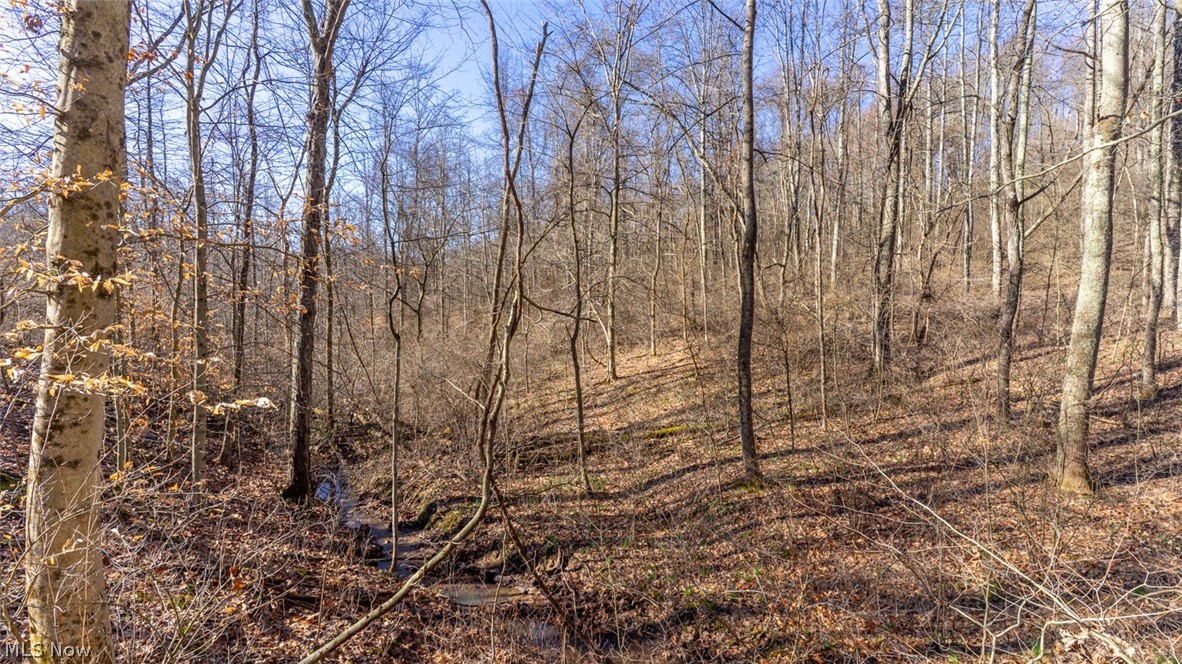 0 Clem Garvin Road Caldwell, OH 43724 - Photo 21 of 50 View of undeveloped land